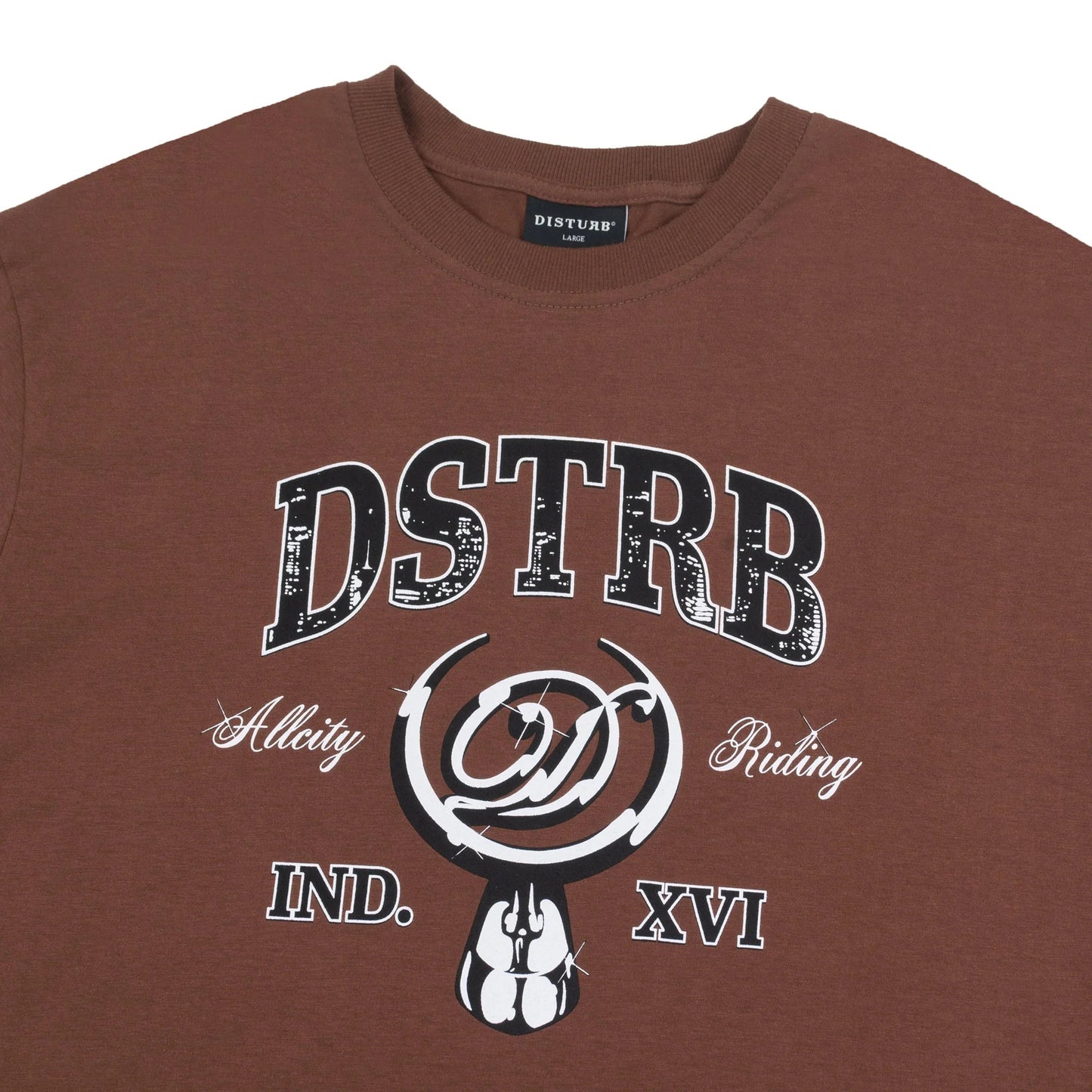All City T-Shirt In Brown