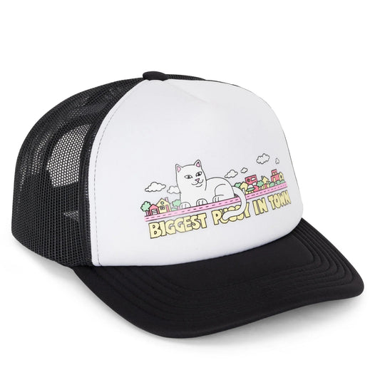 My Neighborhood Trucker Hat (Black) - Boné